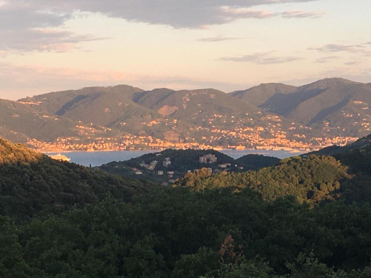 New Penthouse - Cinque Terre, Tuscany, Liguria, Lerici #4 Eksteriør billede